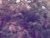 Галя Шуткіна фотография #24 (источник - https://vk.com/id91832763)