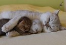 Ольга Білограй фотография #10 (источник - https://vk.com/id154324991)