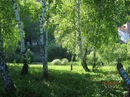 Вікторія Бакун фотография #33 (источник - https://vk.com/id94725443)
