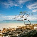 Андрій Басюк фотография #27 (источник - https://vk.com/id164559731)