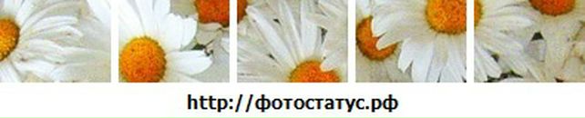 Ліна Болібрух фотография #23 (источник - https://vk.com/id64600387)