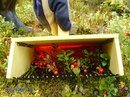 Робота Фінляндії фотография #43 (источник - https://vk.com/id163147454)