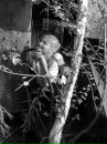 Фотография Олейник Екатерины