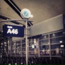 Julia Blue фотография #48 (источник - https://vk.com/id3176865)