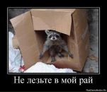 Фотография Грехова Анатолия