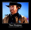 Чак Норіс фотография #6 (источник - https://vk.com/id167273739)