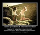 Інна Шевчук фотография #14 (источник - https://vk.com/id92127200)