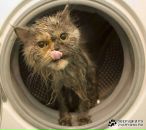 Макс Вішневский фотография #39 (источник - https://vk.com/id84404455)