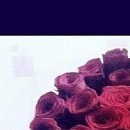 Маріанна Гульпа фотография #40 (источник - https://vk.com/id32904002)