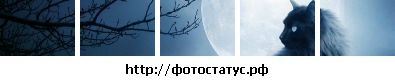 Андрій Микитюк фотография #46 (источник - https://vk.com/id133281757)