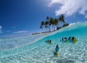 Фотография Петренко Александры