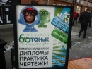 Фотография Павлов Алексей