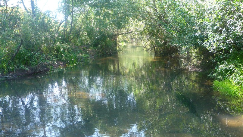 Иван Кабунин фотография #18