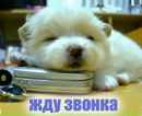 Ніка Коваленко фотография #4 (источник - https://vk.com/id153479563)