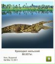 Сергій Любич фотография #15 (источник - https://vk.com/id62956125)