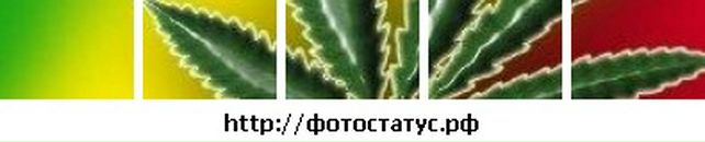 Кирил Івженко фотография #10 (источник - https://vk.com/id82503545)