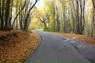 Emil Yasenov фотография #11 (источник - https://vk.com/id93667573)