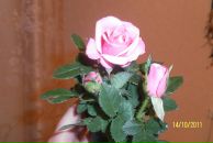 Фотография Тырловой Маришки