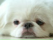 Наталя Міхнюк фотография #4 (источник - https://vk.com/id17187499)