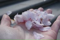 Фотография Дементьевой Марины