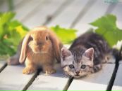 Фотография Флягиной Людмилы