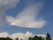 Фотография Лавриной Еленочки