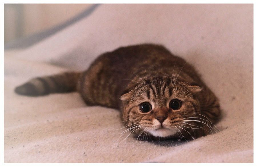 Максим Малышкин фотография #43