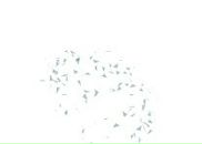 Фотография Алилуи Алика