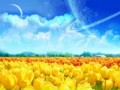 Фотография Шутовой Катерины