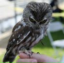 Фотография Климовской Вероники