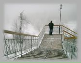 Фотография Данилова Алена