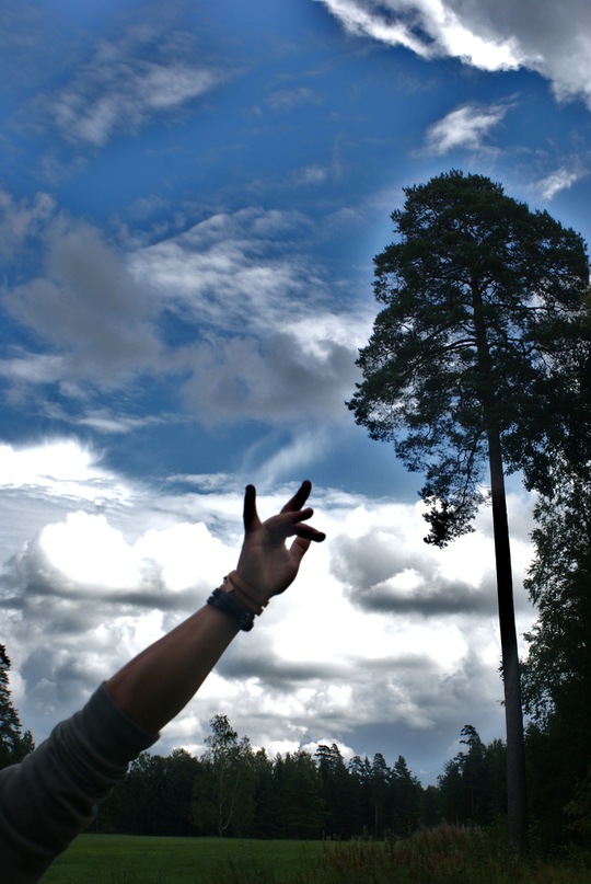 Brodwey Brd фотография #45