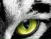 Лілюсік Калінчук фотография #50 (источник - https://vk.com/id66320175)