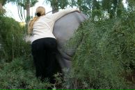 Фотография Алешиной Александры