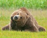 Фотография Налейкина Артема