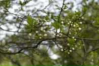 Фотография Артемкиной Риммы