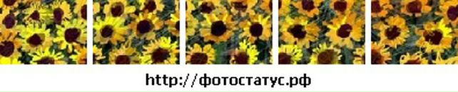 Тарас Вінтоняк фотография #13 (источник - https://vk.com/id41052976)