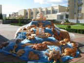 Наталія Кошка фотография #48 (источник - https://vk.com/id55018463)