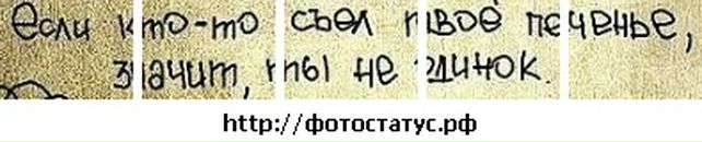 Вікуся Ткач фотография #20 (источник - https://vk.com/id139490164)