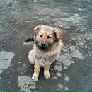 Григорий Рыков фотография #35 (источник - https://vk.com/id3726092)
