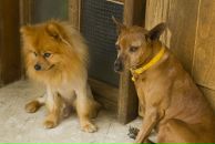 Дина Баширова фотография #36 (источник - https://vk.com/id2989309)