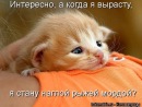 Любов Івашина фотография #43 (источник - https://vk.com/id33770246)