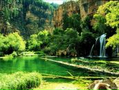 Сергій Басок фотография #7 (источник - https://vk.com/id29902322)