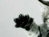 Танічка Котова фотография #1