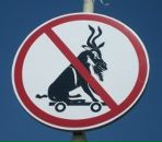 Фотография Ларионова Александра