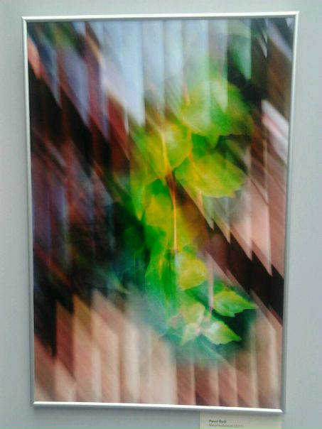 Александр Немо фото №27