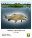 Славік Зайцев фотография #48 (источник - https://vk.com/id97164544)
