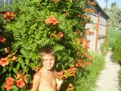 Діма Гончаренко фотография #1