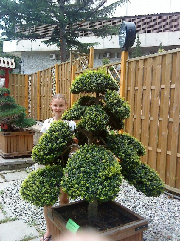 Анжелочк@ Любч@к фотография #42