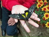 Катя Сітнікова фотография #35 (источник - https://vk.com/id70303954)